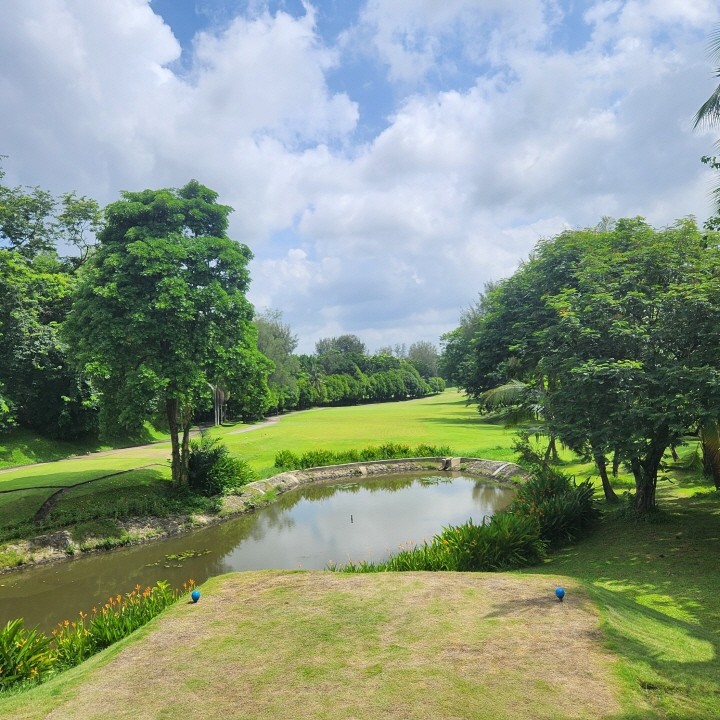 중국 하이난 맹글로브 CC 3박4일 / 4박5일       