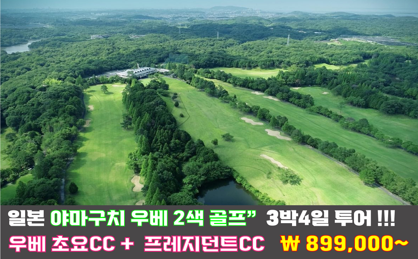 우베 초요CC + 프레지던트 2색 골프 [가성비 추천 ] 