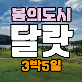 봄의도시 베트남 달랏 아사아나운항 특가 3박5일